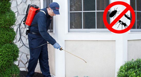 Gölbaşı Karınca İlaçlama böcek ilaçlama ve haşere kontrolü — ilaclama-tr.com